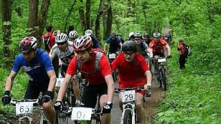Кросс-кантри на велосипеде завершился в Таманском лесу Ставрополя
