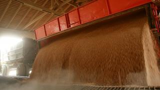 Ставрополье испытывает проблемы с вывозом зерна по железной дороге