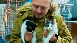 Приют для животных «Лучший друг» в Ставрополе – настоящее счастье
