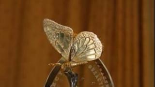 «Золотой бабочкой» в Москве наградят Ставропольскую психиатрическую больницу