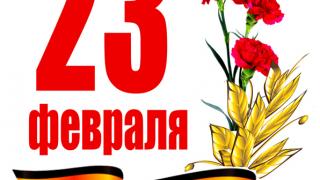 Власти Ставрополья поздравляют защитников с 23 февраля