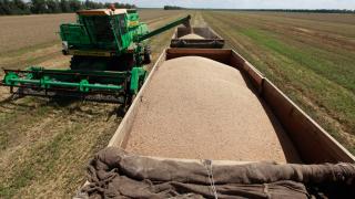 На Ставрополье собрано 4,5 миллиона тонн зерна