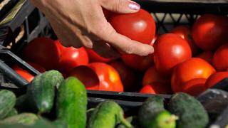 В России отмечен рост объемов производства тепличных овощей