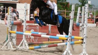 Чемпионат и первенство по конному спорту состоялись в Ставрополе