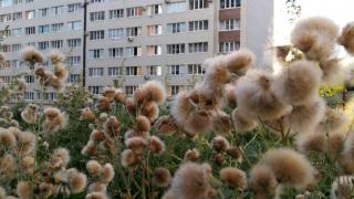 Ставропольцам рассказали, что нужно проверить при покупке квартиры