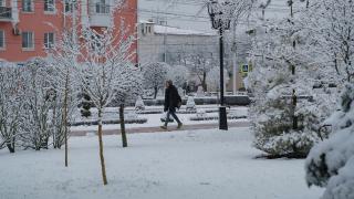 Зимние литературные игры предлагают библиотеки Ставрополья
