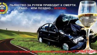 На Ставрополье 204 уголовных дела заведены на пьяных водителей