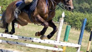 В Ставрополе прошли Всероссийские личные соревнования по конному спорту