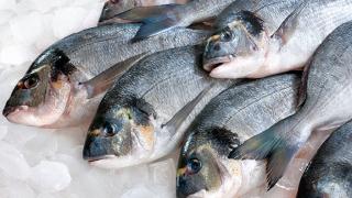 За 2018 год Роспотребнадзор проверил более 100 предприятий по торговле рыбой