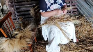 В Степновском округе Ставрополья проверяют качество зерна после первой уборки