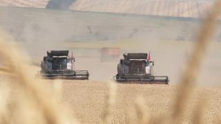 Жатва 2019: более 4 млн тонн зерна собрали аграрии Ставрополья