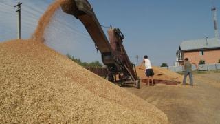 В Ростове-на-Дону обсуждают проблемы зернового рынка России