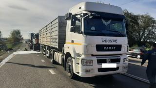 Два грузовика столкнулись в Шпаковском округе Ставрополья