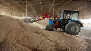 Государственные закупочные интервенции зерна начнутся с 30 сентября