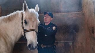 В Ставрополе конные полицейские выявили свыше 200 правонарушений за год