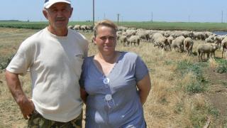 Условия для животноводства улучшились в колхозе села Киевка