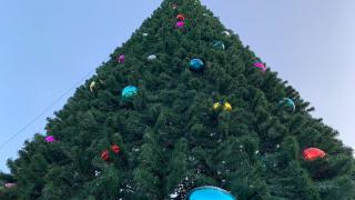 На территории Предгорного округа установят 23 новогодние ёлки
