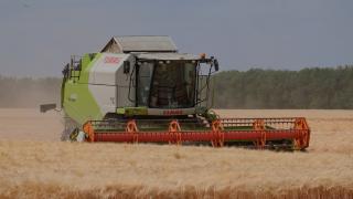 Ряд хозяйств Советского округа уже завершили уборку зерновых