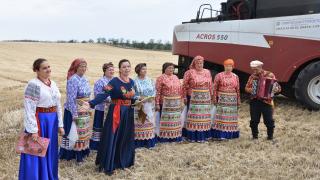 В Грачевском округе местные артисты поддерживают тружеников во время жатвы