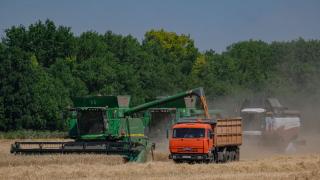 В Новоалександровском округе работают над импортозамещением семян