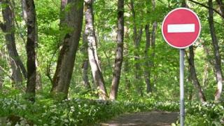 Ставропольцам разрешил гулять в лесу министр