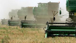 Почти 6 миллионов тонн зерна собрано на Ставрополье