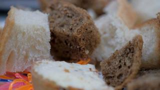 Проект для школьников «Уроки хлебной азбуки» стартовал в Георгиевске