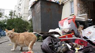 Некоторые жители Михайловска недовольны расположением мусорных контейнеров