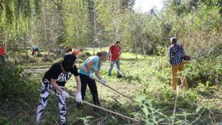 Год экологии на Ставрополье: новации, воспитание экокультуры и возрождение лесов