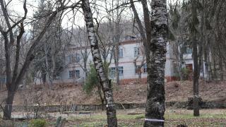 В ставропольском посёлке Энергетик сохранят деревья при реконструкции лагеря «Машук»