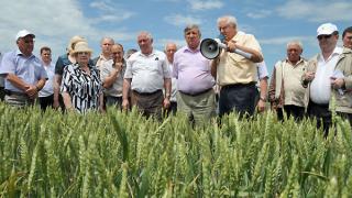 День поля провели в Ставропольском НИИ сельского хозяйства