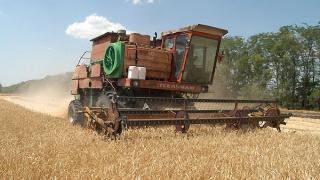 Уборкой зерновых и зернобобовых занялись хозяйства Ставрополья