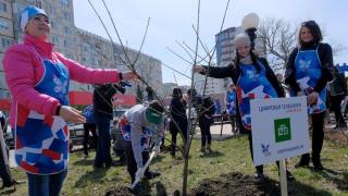 Цифровая аллея появилась в Ставрополе