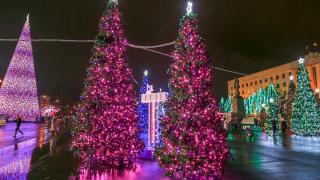 На площади Ленина в Ставрополе убрали новогодний лес