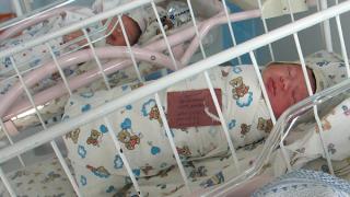 В Ставропольском крае родилось рекордное количество малышей