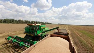 Всего 6% площадей зерновых осталось убрать на Ставрополье