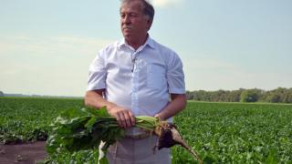 На Ставрополье отмечен рост производства овощей