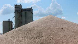 Ставрополье с начала года отправило в другие регионы России и на экспорт более 20 тысяч тонн зерна