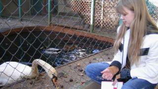 Более 40 видов животных разместились в контактном зоопарке Георгиевска
