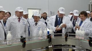 Вице-премьер РФ А. Дворкович в Невинномысске принял участие в запуске двух производств