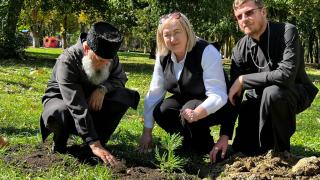 В Пятигорске посадили саженцы секвойи