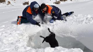 Спасение пострадавших из снежного плена отрабатывали пассовцы на склонах Приэльбрусья