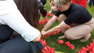 «Тюльпаны Победы» украсили посёлок Фазанный на Ставрополье