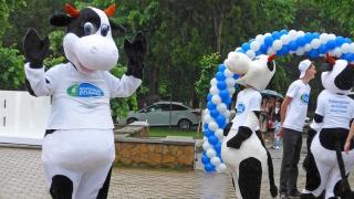 Молочный фестиваль на Ставрополье станет традиционным