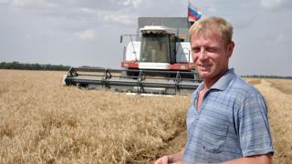 Колхоз «Прикумский» вносит достойный вклад в хлебный каравай