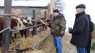 Одно из ведущих сельхозпредприятий Ипатовского округа отметило своё 20-летие