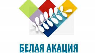 Изюминки и сюрпризы форума «Белая акация» в Ставрополе