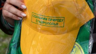 «Зеленое вето» в защиту лесов начинает действовать в России