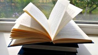 Для юных читателей на Ставрополье библиотекари организовали «Библионяню»