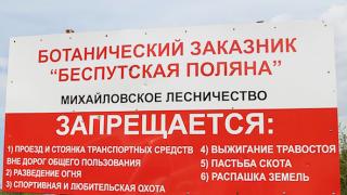 За разжигание костров в ставропольских лесах накажут штрафом от 3 до 100 тысяч рублей